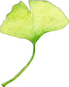Daria Sera MD - Holistic Health & Fertility Clinic - Natural Health Center - Holistic Healing | Infertility Treatment | Hypnosis | Holistic Medicine - Daria Sera MD
